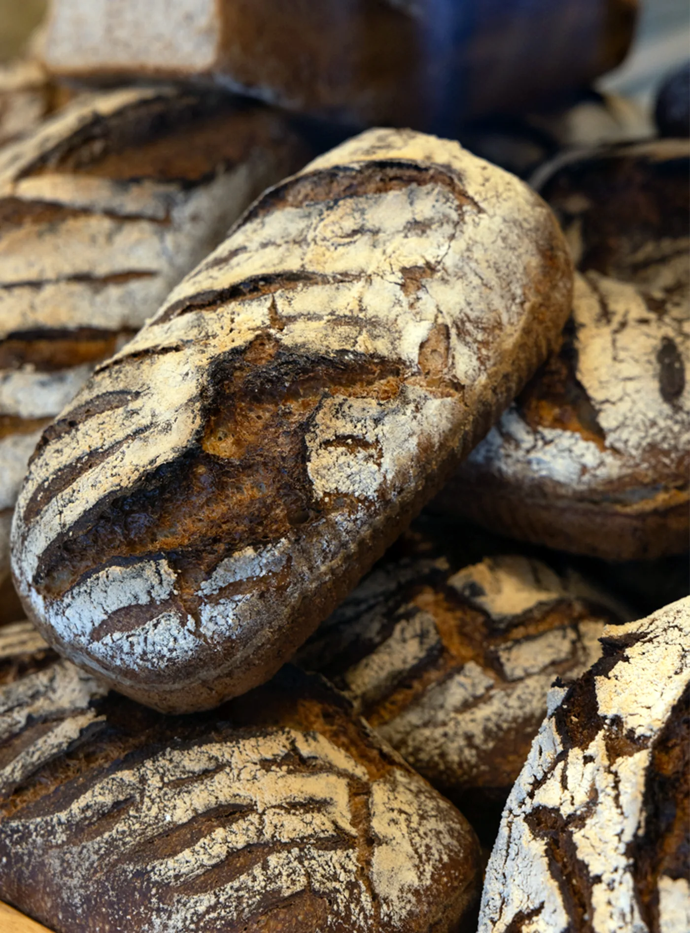 Miches de pain au levain farinées